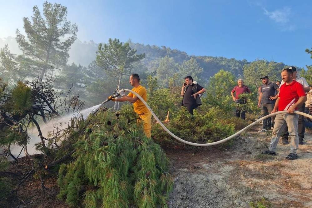 Bolu'da çıkan orman yangını büyümeden söndürüldü
