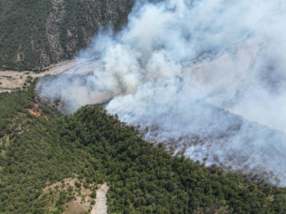 Karabük’te yıldırım orman yangınına neden oldu